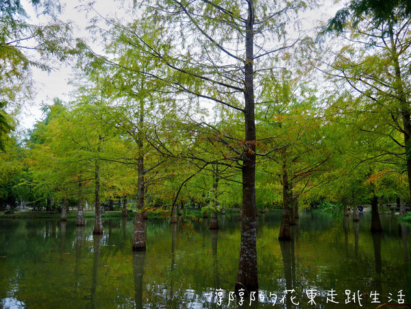 IMG_9894.jpg IMG_9894.jpg