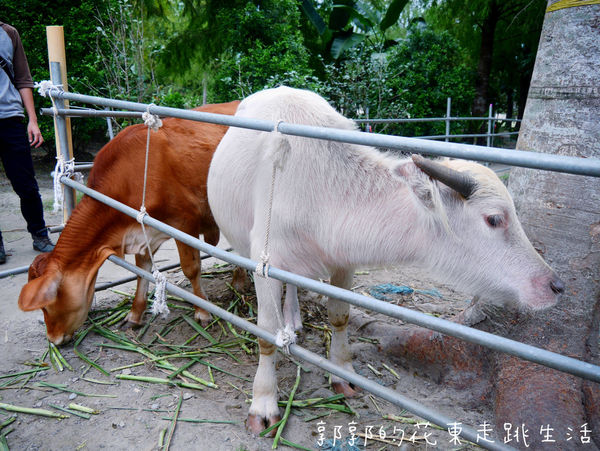 IMG_9892.jpg IMG_9892.jpg