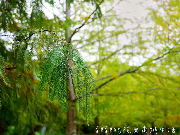 IMG_9900.jpg IMG_9900.jpg