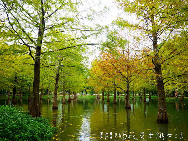 IMG_9903.jpg IMG_9903.jpg