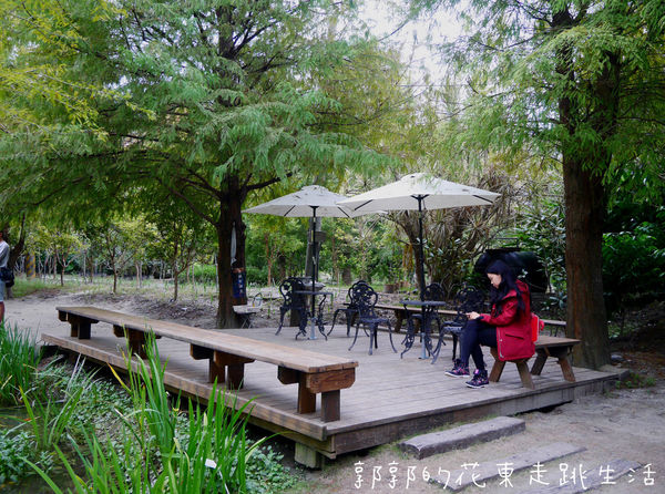 IMG_9886.jpg IMG_9886.jpg