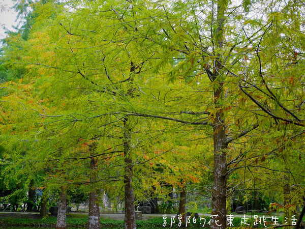 IMG_9901.jpg IMG_9901.jpg