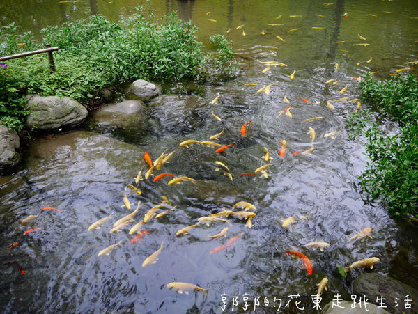 IMG_9884.jpg IMG_9884.jpg