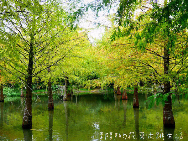 IMG_9902.jpg IMG_9902.jpg