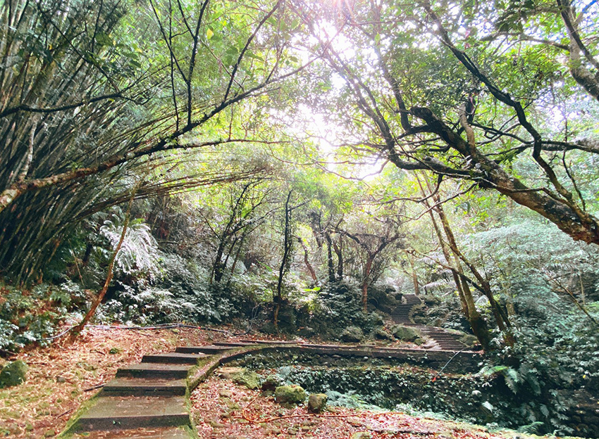 搭火車遊孝子山一次攻頂挑戰刺激三顆山~走捷徑效率攻頂普陀山!