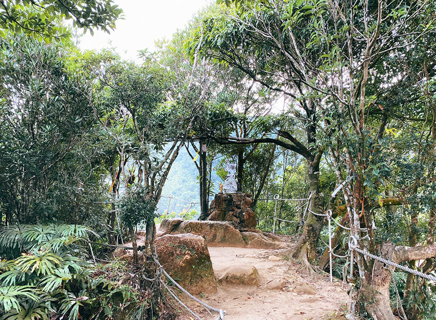 搭火車遊孝子山一次攻頂挑戰刺激三顆山~走捷徑效率攻頂普陀山!