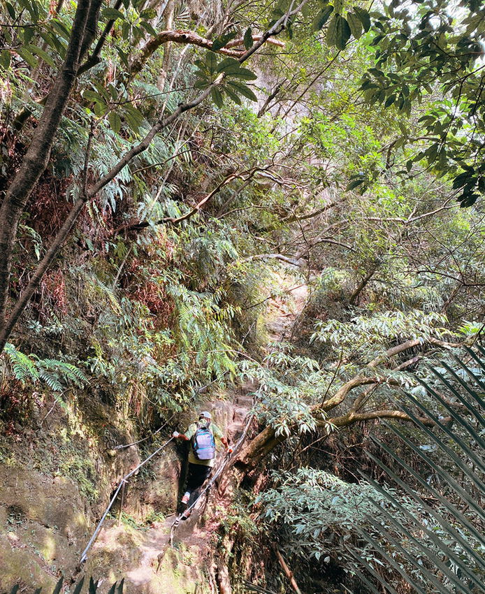 搭火車遊孝子山一次攻頂挑戰刺激三顆山~走捷徑效率攻頂普陀山!