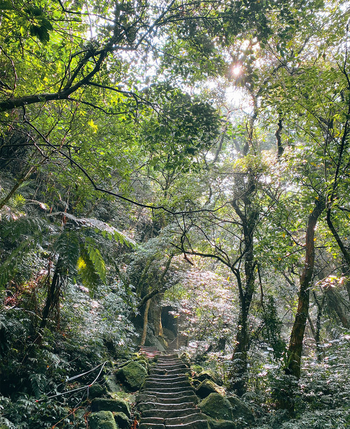 搭火車遊孝子山一次攻頂挑戰刺激三顆山~走捷徑效率攻頂普陀山!