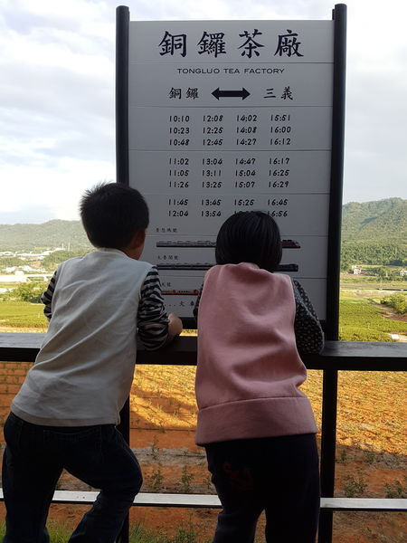【苗栗/銅鑼】銅鑼茶廠