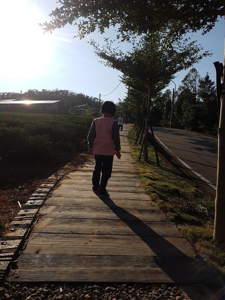 【苗栗/銅鑼】銅鑼茶廠