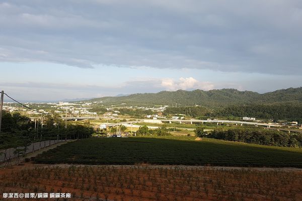 【苗栗/銅鑼】銅鑼茶廠