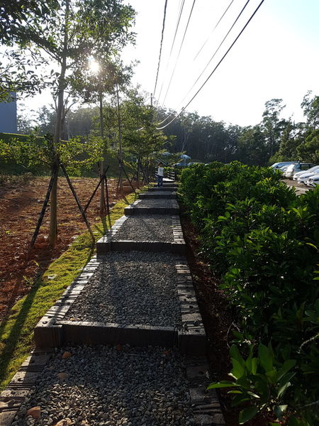 【苗栗/銅鑼】銅鑼茶廠