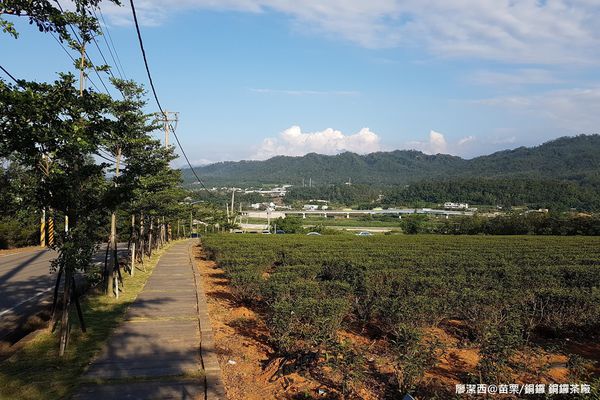 【苗栗/銅鑼】銅鑼茶廠