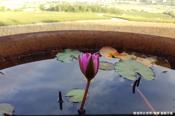 【苗栗/銅鑼】銅鑼茶廠