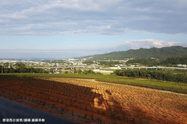 【苗栗/銅鑼】銅鑼茶廠