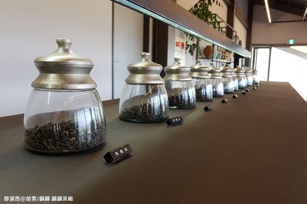 【苗栗/銅鑼】銅鑼茶廠