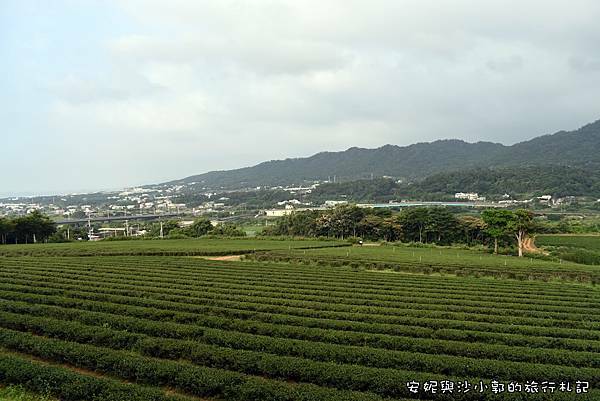 銅鑼茶廠 (42).JPG