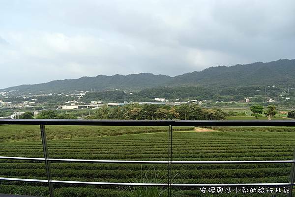 銅鑼茶廠 (38).JPG