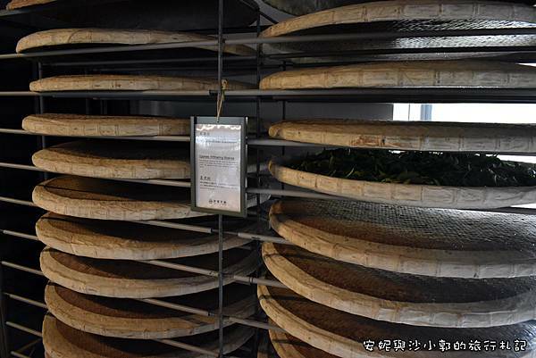 銅鑼茶廠 (46).JPG