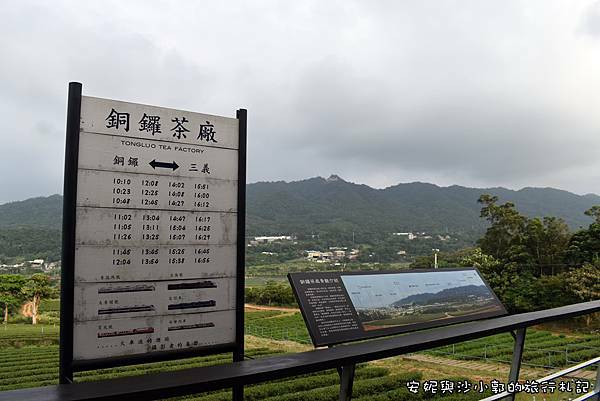 銅鑼茶廠 (41).JPG