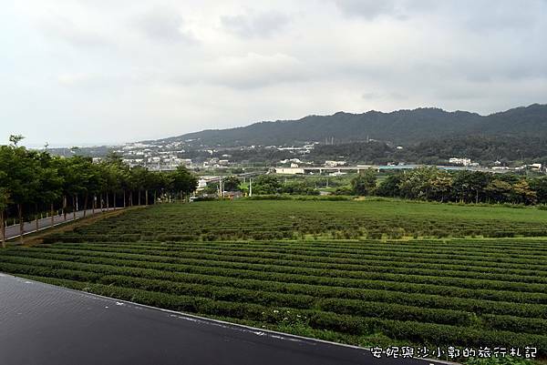 銅鑼茶廠 (4).JPG