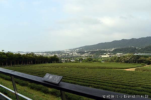 銅鑼茶廠 (40).JPG