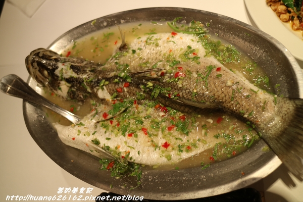 瓦城泰國料理(林口三井店):【新北林口區】泰式料理 『瓦城泰國料理-三井Outlet』道道料理都非常下飯 瓦城泰國料理(林口三井店):【新北林口區】泰式料理 『瓦城泰國料理-三井Outlet』道道料理都非常下飯