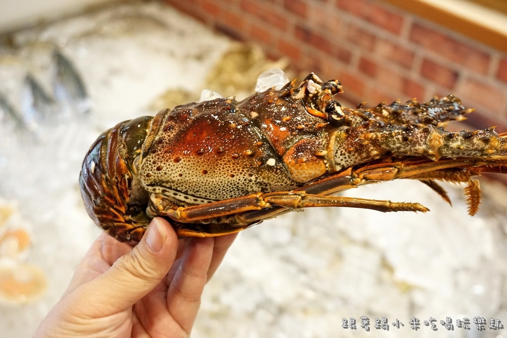 DSC00417.jpg DSC00417.jpg