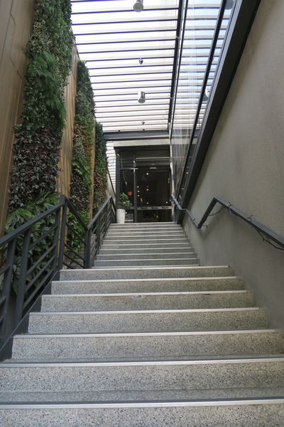 IMG_5260.JPG IMG_5260.JPG