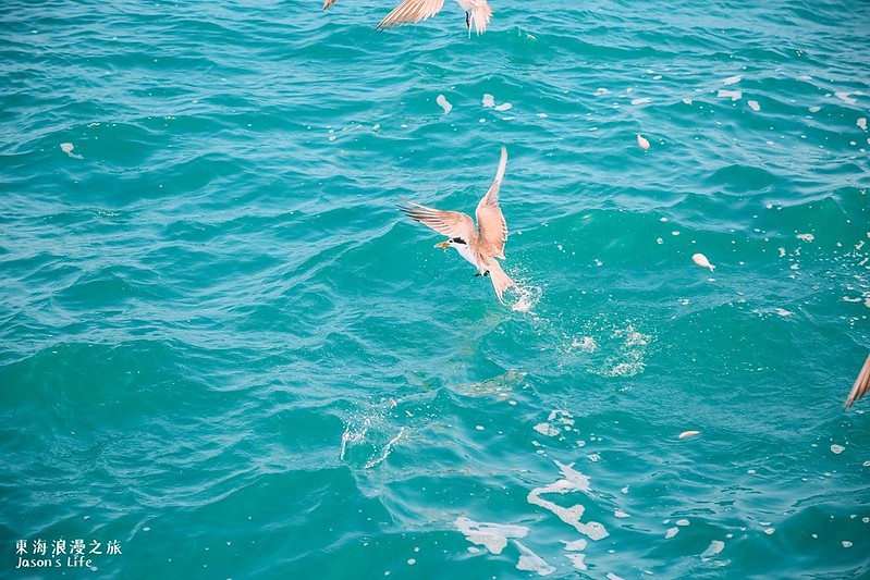 batch_2020_18.9.8 _1_200908-65