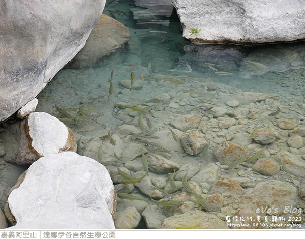 達娜伊谷自然生態公園-97.jpg 達娜伊谷自然生態公園-97.jpg