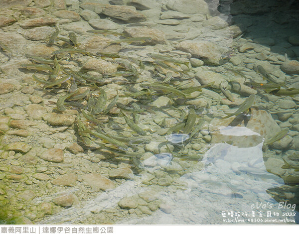 達娜伊谷自然生態公園-67.jpg 達娜伊谷自然生態公園-67.jpg