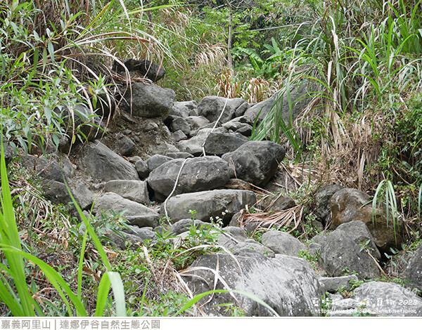 達娜伊谷自然生態公園-101.jpg 達娜伊谷自然生態公園-101.jpg