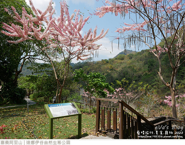 達娜伊谷自然生態公園-26.jpg 達娜伊谷自然生態公園-26.jpg