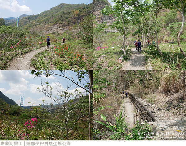 達娜伊谷自然生態公園-81.jpg 達娜伊谷自然生態公園-81.jpg