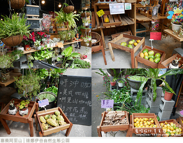 達娜伊谷自然生態公園-51.jpg 達娜伊谷自然生態公園-51.jpg