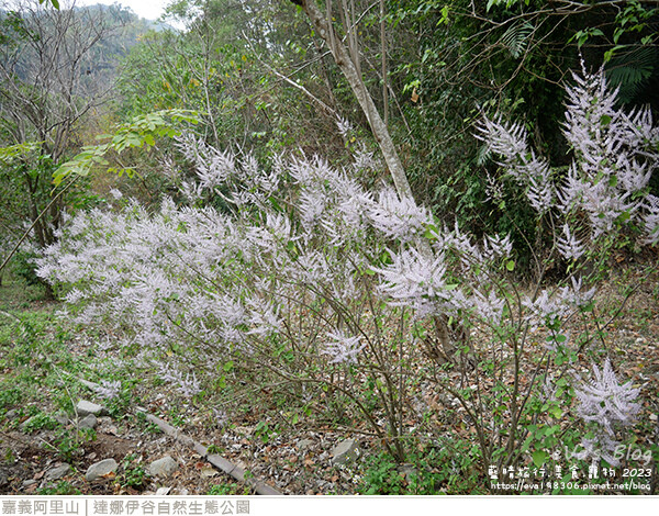 達娜伊谷自然生態公園-107.jpg 達娜伊谷自然生態公園-107.jpg