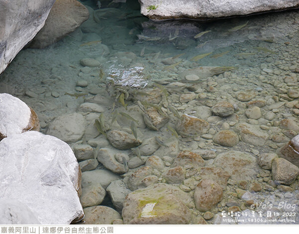 達娜伊谷自然生態公園-98.jpg 達娜伊谷自然生態公園-98.jpg