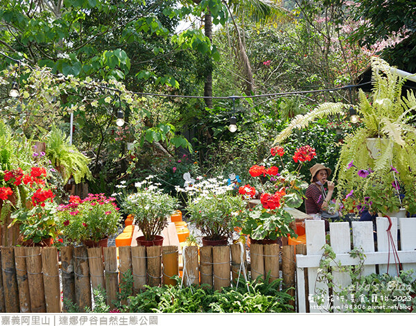 達娜伊谷自然生態公園-57.jpg 達娜伊谷自然生態公園-57.jpg