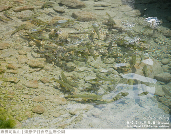 達娜伊谷自然生態公園-68.jpg 達娜伊谷自然生態公園-68.jpg