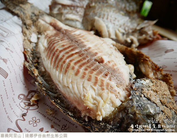 達娜伊谷自然生態公園-84.jpg 達娜伊谷自然生態公園-84.jpg