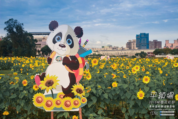 2016桃園花彩節|桃園市平鎮區花場；向日葵迷宮登場，還有很多好吃好玩的等你來發掘。