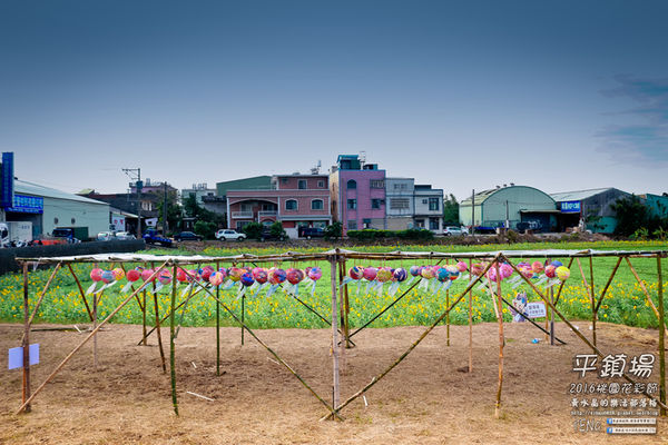 2016桃園花彩節|桃園市平鎮區花場；向日葵迷宮登場，還有很多好吃好玩的等你來發掘。