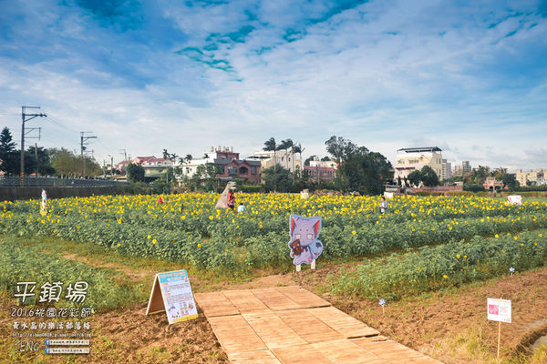 2016桃園花彩節|桃園市平鎮區花場；向日葵迷宮登場，還有很多好吃好玩的等你來發掘。