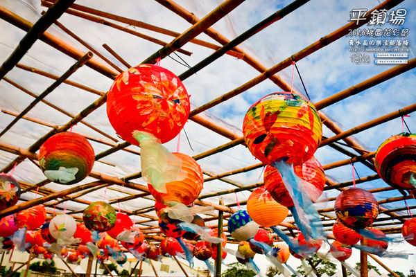 2016桃園花彩節|桃園市平鎮區花場；向日葵迷宮登場，還有很多好吃好玩的等你來發掘。