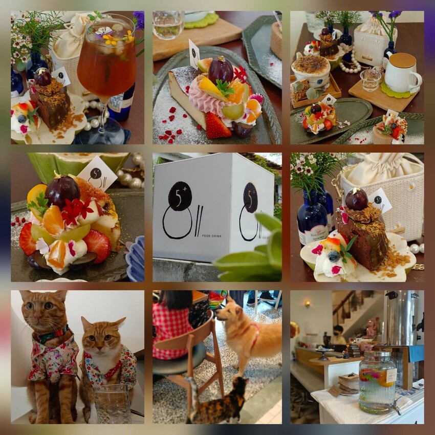 388513.jpg - 【花蓮市區】寵物友善甜點店。5+商行擺盤超美+食材超優秀+甜點無敵好吃+超友善動物