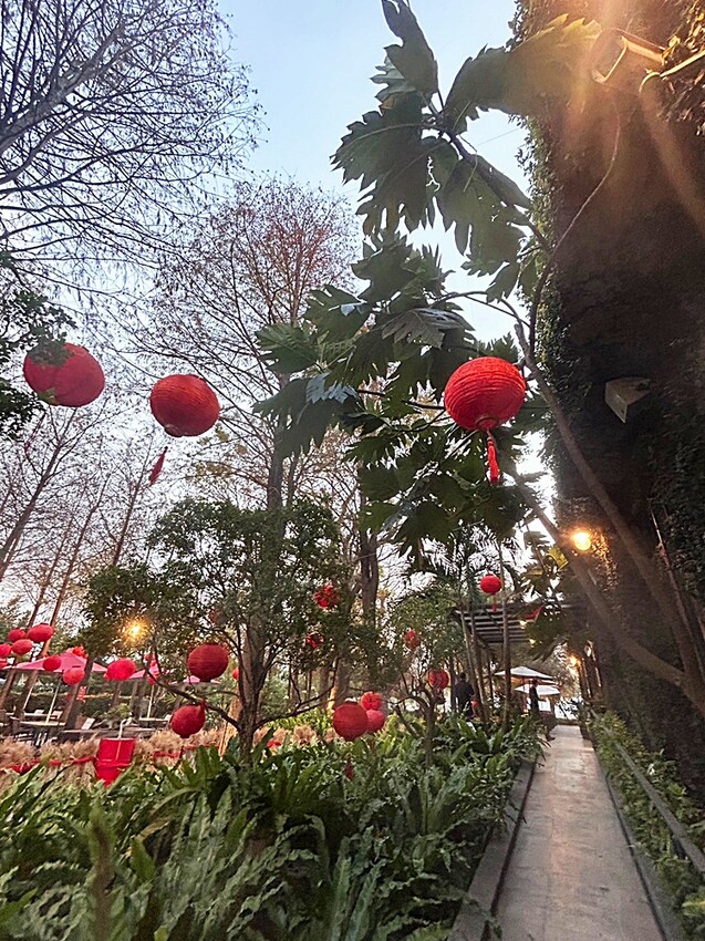 老饕帶路！！隱藏在田園間的絕美森林系景觀餐廳，如夢似幻的玻璃屋，享受著主廚精心手作料理，就來場浪漫的邂逅～ 