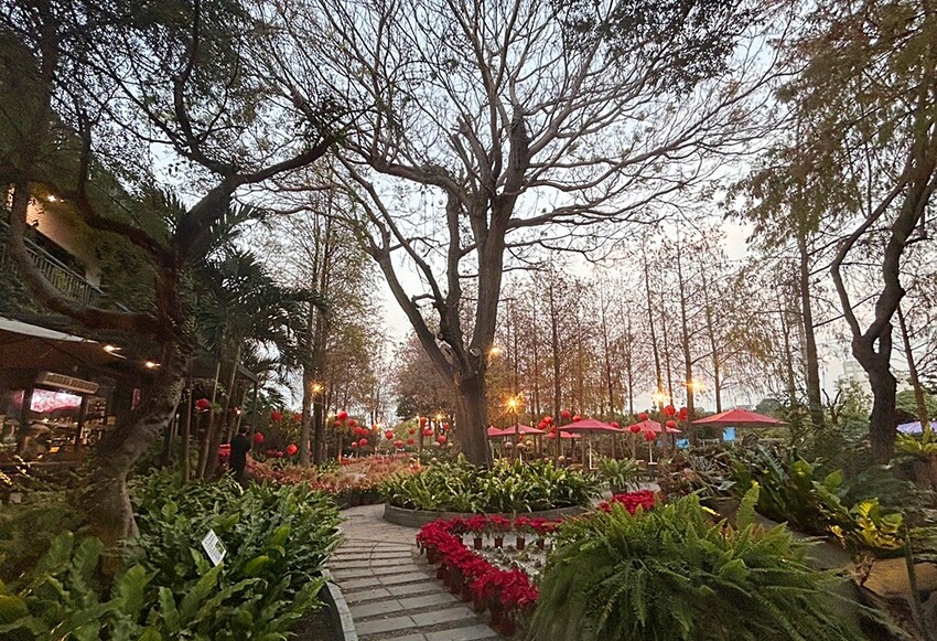老饕帶路！！隱藏在田園間的絕美森林系景觀餐廳，如夢似幻的玻璃屋，享受著主廚精心手作料理，就來場浪漫的邂逅～ 