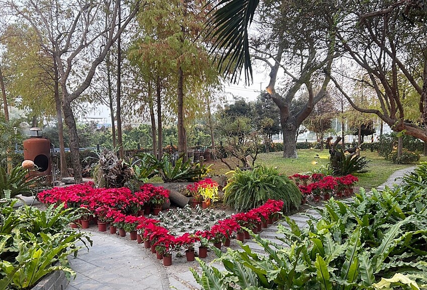 老饕帶路！！隱藏在田園間的絕美森林系景觀餐廳，如夢似幻的玻璃屋，享受著主廚精心手作料理，就來場浪漫的邂逅～ 