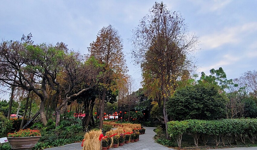 老饕帶路！！隱藏在田園間的絕美森林系景觀餐廳，如夢似幻的玻璃屋，享受著主廚精心手作料理，就來場浪漫的邂逅～ 